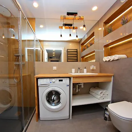 Apartament Sloneczniki Zabobrze Еленя-Гура